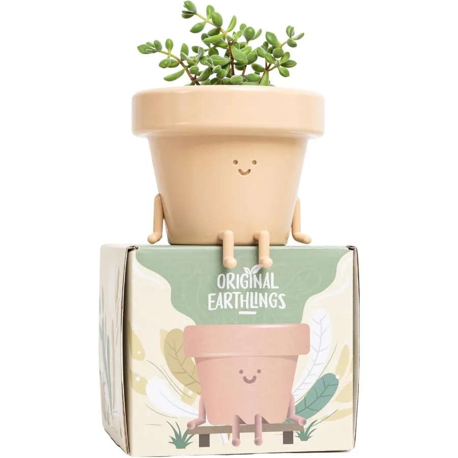 

Sitting Pot 3.5 Inch Cute Plant Pot Plastic Funny Planter with Drainage Unique Cactus Plant Lover Gift Small Succulent Face Flo