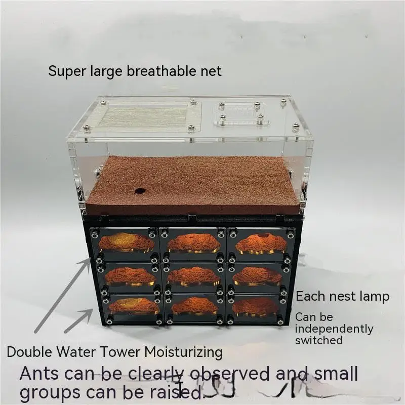 Ecological Ant Farm with Independent Lights Control Anthill Farm Ants Nest Ants Living House Concrete Insect Hotel with Workshop