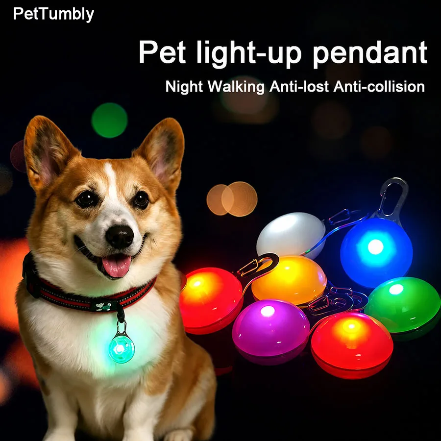 #2 Best LED Puppy Collars to Buy In 2026
