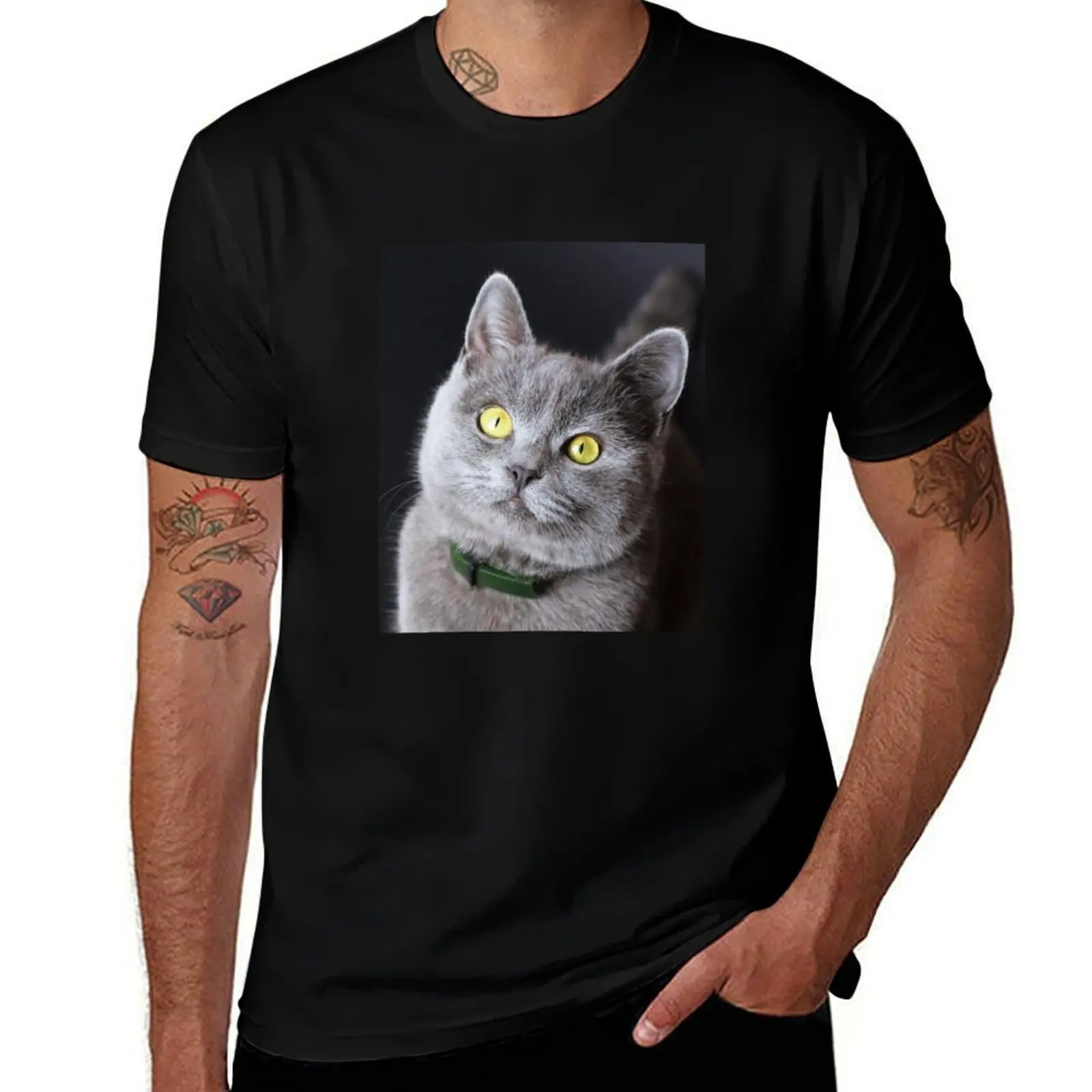 Camiseta con diseño de gatito británico de pelo corto, camiseta básica de manga corta para uso diario
