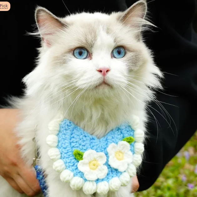 

Cute Knitted Floral Pet Collar Cat Knitted Decorative Accessories for Pet Lovers Birthday Gifts for Cats and Dogs Cosplay