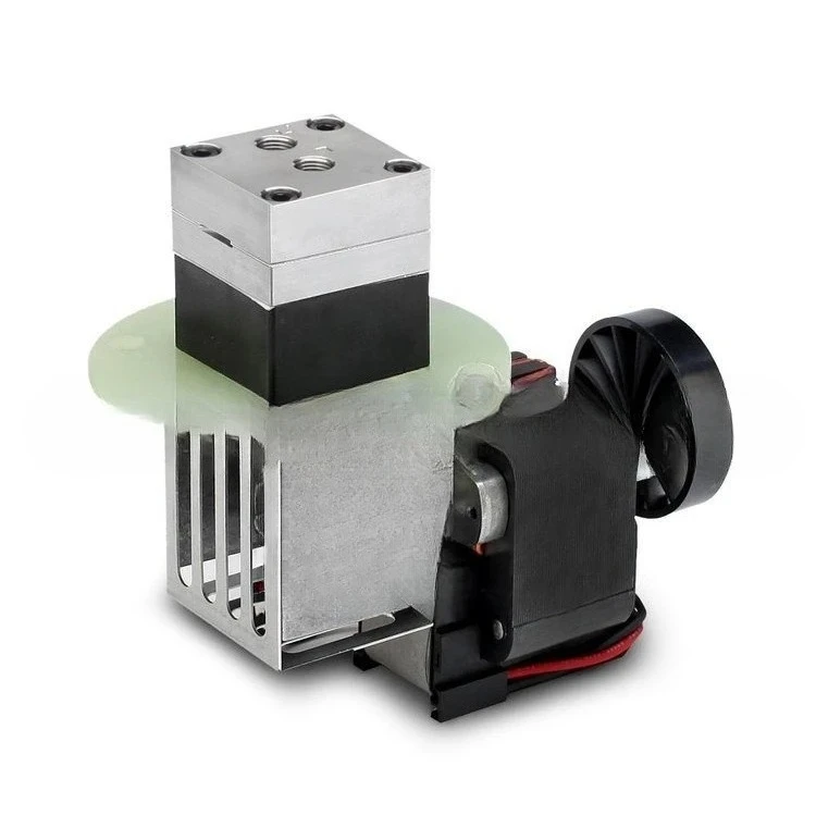 

Diaphragm pump B161-FP-AB high temperature vacuum sampling