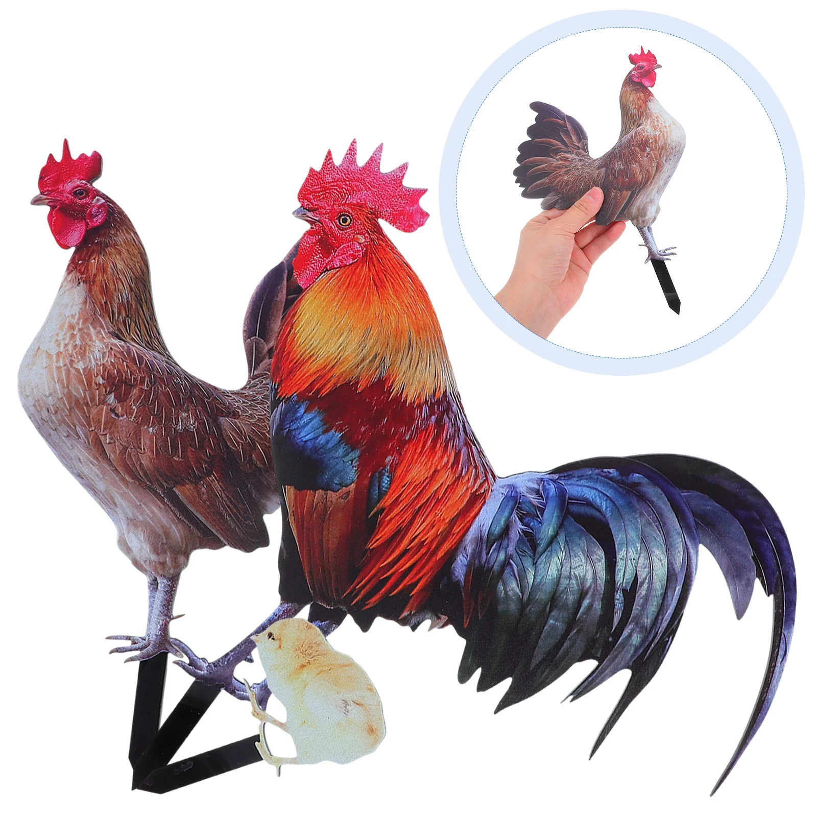 

1Set Yard Decoration Chicken Stake Smooth Surface No Burr Weather Resistant Garden Adornment Lawn Insert for Courtyard Garden