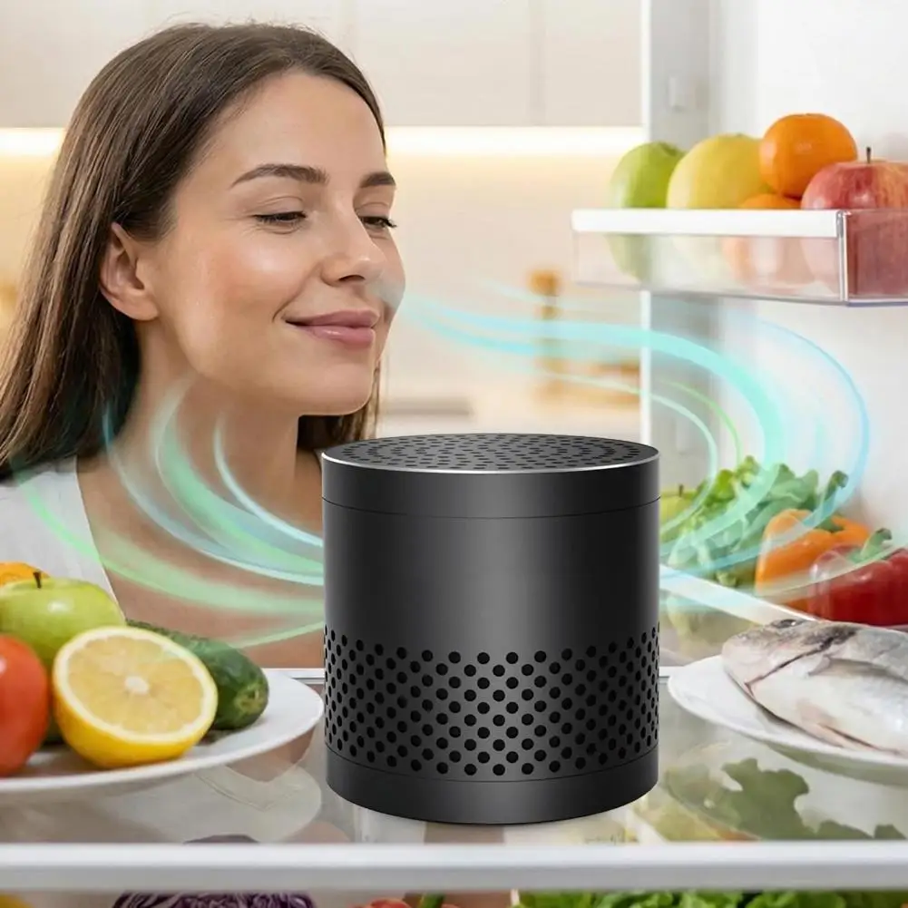 

Refrigerator Deodorizer,Odor Eliminator Activated Charcoal,Fridge Freshener Stainless Steel Car Deodorizer Shoe Cabinet