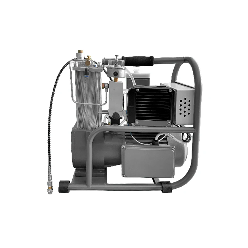 GX GX-E-1 24v Dc or Diving Automotive Electric 110V AC Air Conditioner Compressor Ffor Hunting Pcp High Pressure Air Compressor