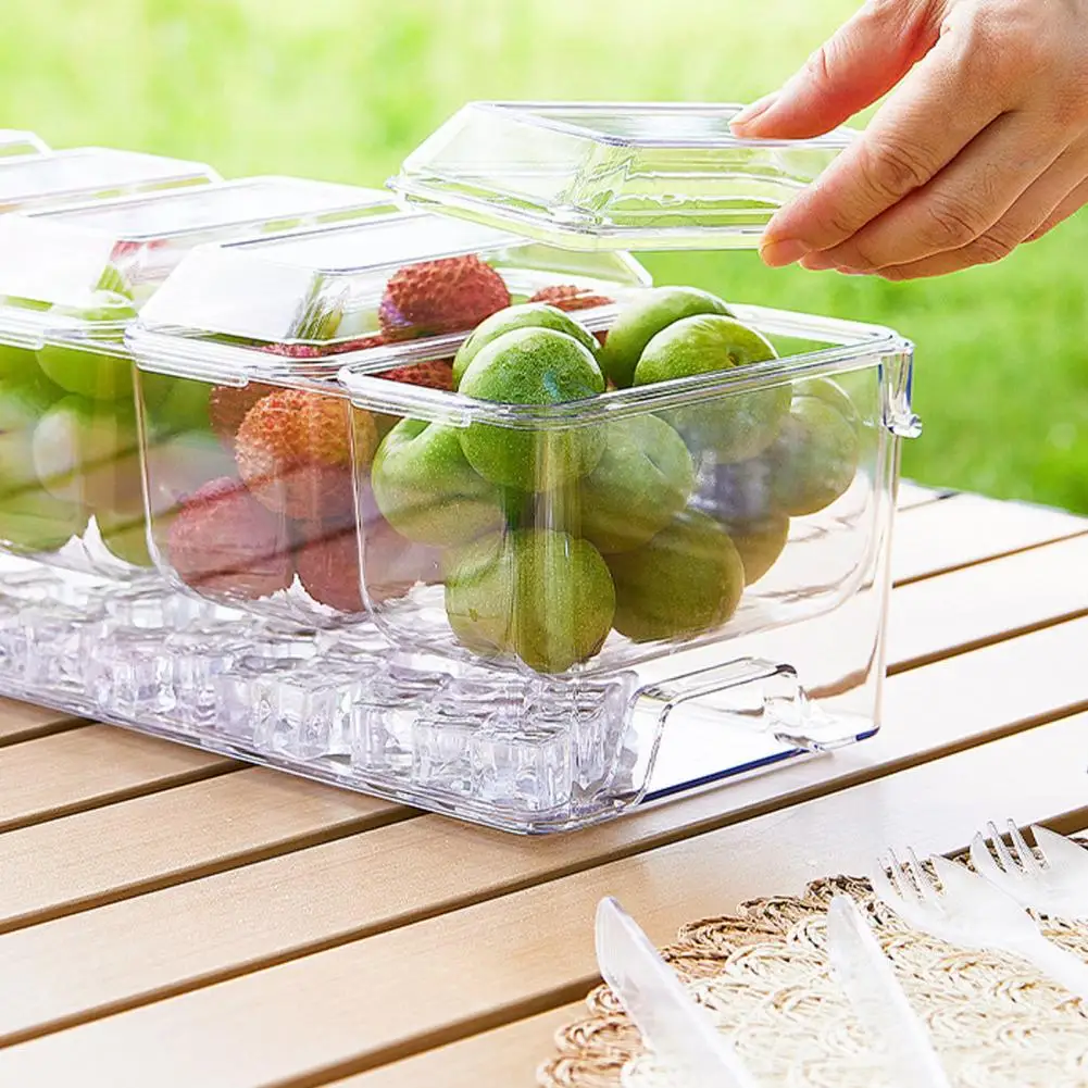 

Outdoor Crisper with Lid Multi-Grid Transparent Food-Grade Container Dustproof Spill-Proof Lunch Box for Camping Picnic And Refr