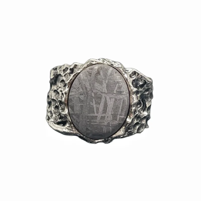 Gibeon Meteorite Ring Adjustable Band Genuine Etched Meteorite Slice Inlaid Metal Ring Cosmic Stone Collectible Jewellery K65