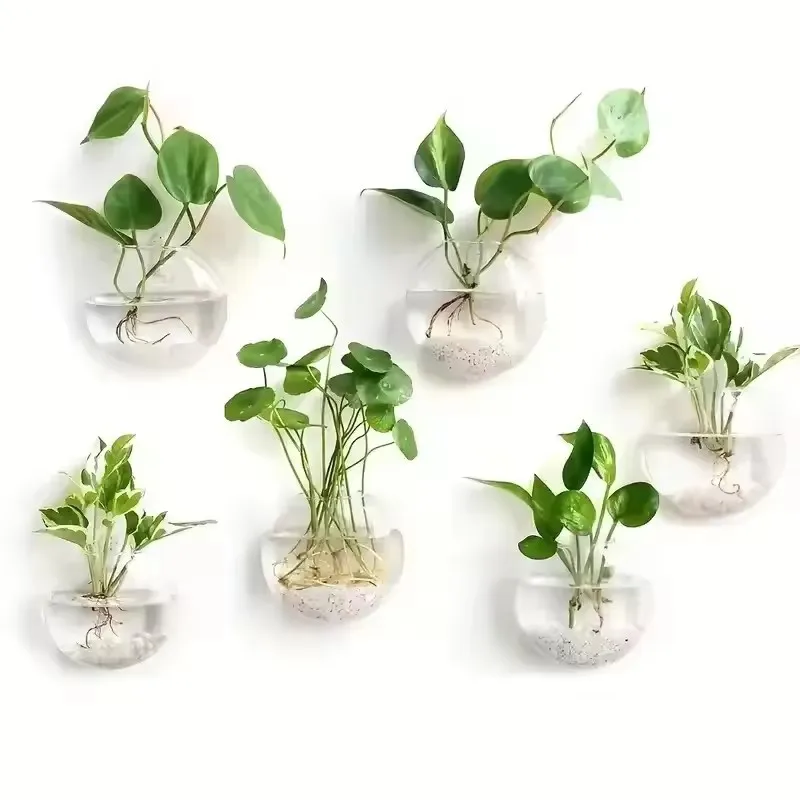 terrario-de-vidro-para-pendurar-na-parede-2-4-6-pacotes-plantador-hidroponico-com-rega-automatica-para-decoracao-de-escritorio-domestico-vaso-de-cristal-redondo-feito-a-mao