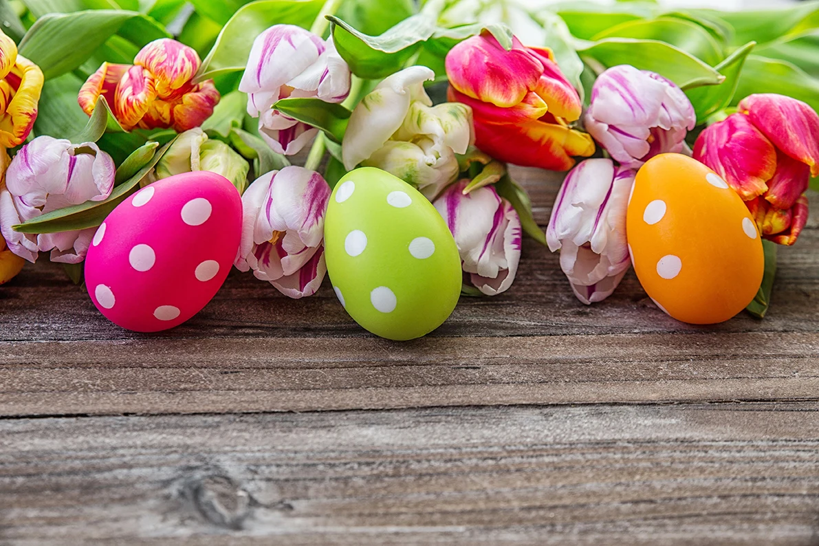 Easter Photographic Eggs Flowers Pattern Spring Backgrounds Wood Boards Basket Studio Banner Backdrops Decoration Supplies Props