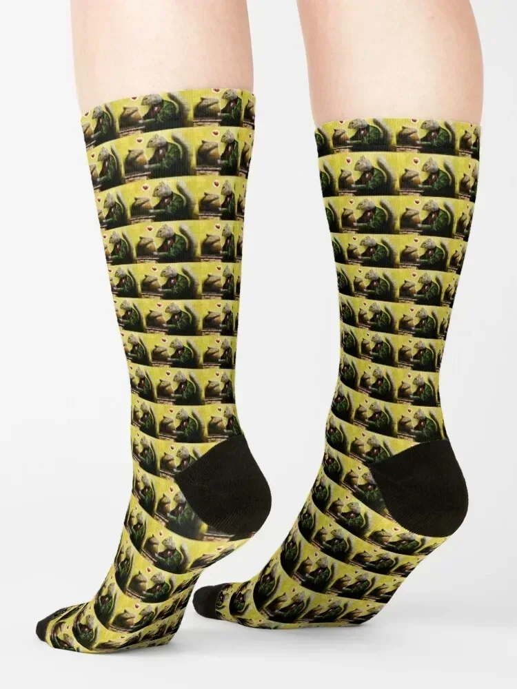 Mr. Squirrel Loves His Acorn Socks warm winter retro cotton Children's Men's Socks Luxury Women's