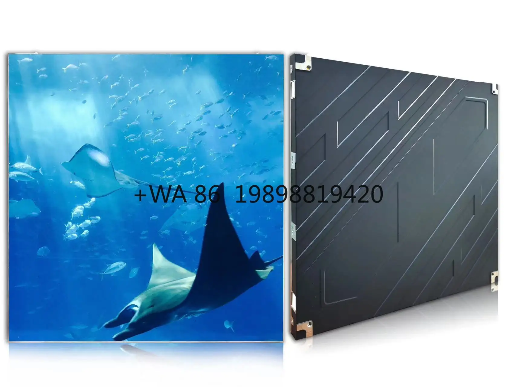 

P2 P2.5 Светодиодный экранная пленка Маленькая пиксельная светодиодная сценическая панель Экран дисплея 640*480 мм Точный шаг для использования в помещении