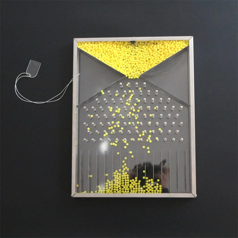 Physics school laboratory supplies Galton and Dalton board demonstration laboratory teaching equipment