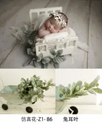 Coconut newborn photography props Simulation flower eucalyptus lobular hydrangea rabbit ear leaf eucalyptus fruit millet flower