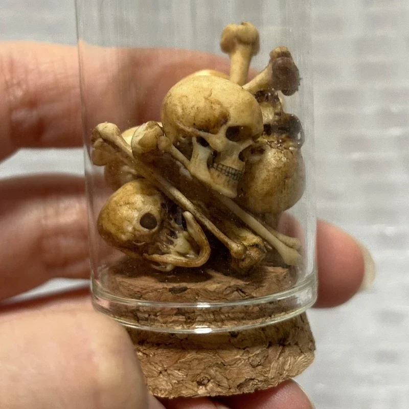 High-quality Mini Skull Model Mini Human Skull Model Halloween Home Decoration Dollhouse Plant Fish Tank Decoration