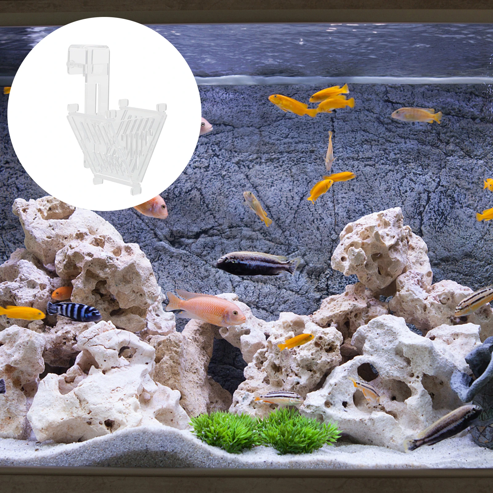 

1pcs Fish Feeding Cup High-Brightness Acrylic Aquarium Feeder For Freshwater Saltwater Tanks Small Tropical Fish Feeding Tool