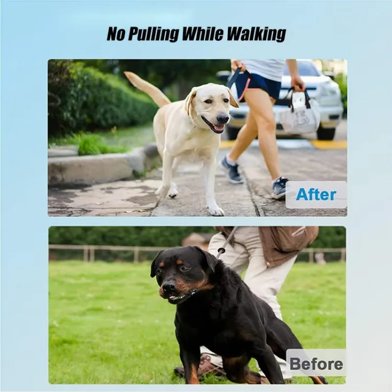 Professional Stainless Steel Prong Collar | Adjustable Dog Training Collar with Safety Lock for Large Breed Behavior Correction - view 5