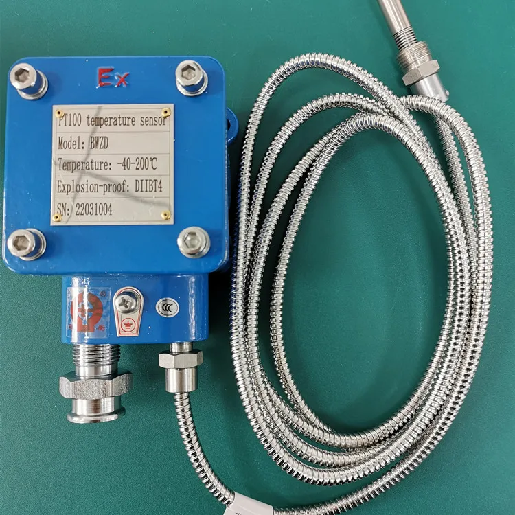 Sensor de temperatura BWZD Series Ex PT100