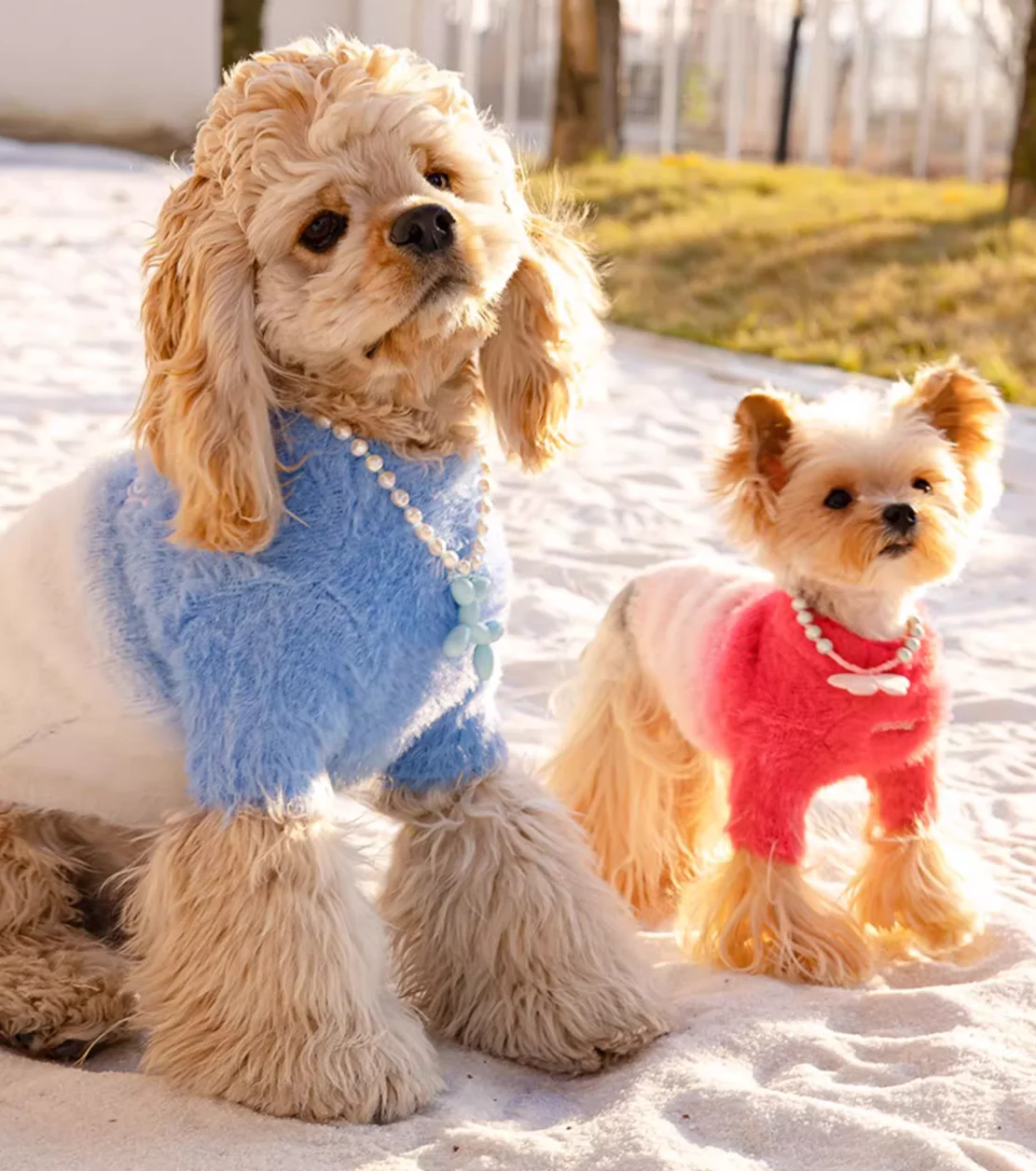 Dog and Cat Sweater, Pet Clothes, Autumn and Winter, New