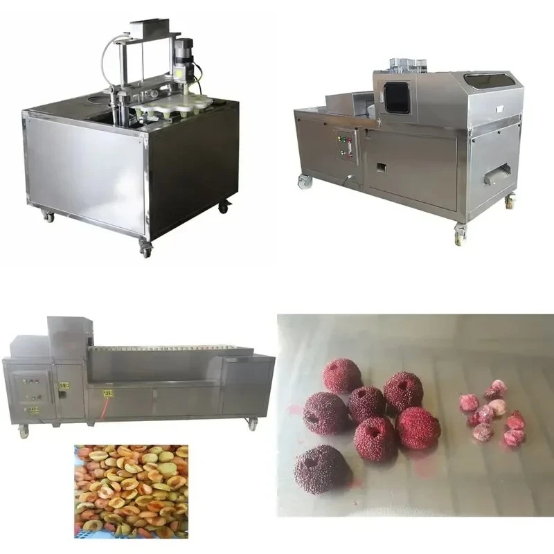 YWM Certificate Apricot Peach Haw Jujube Cherry Olives Plums Apples Seed Removing Pitting Machine