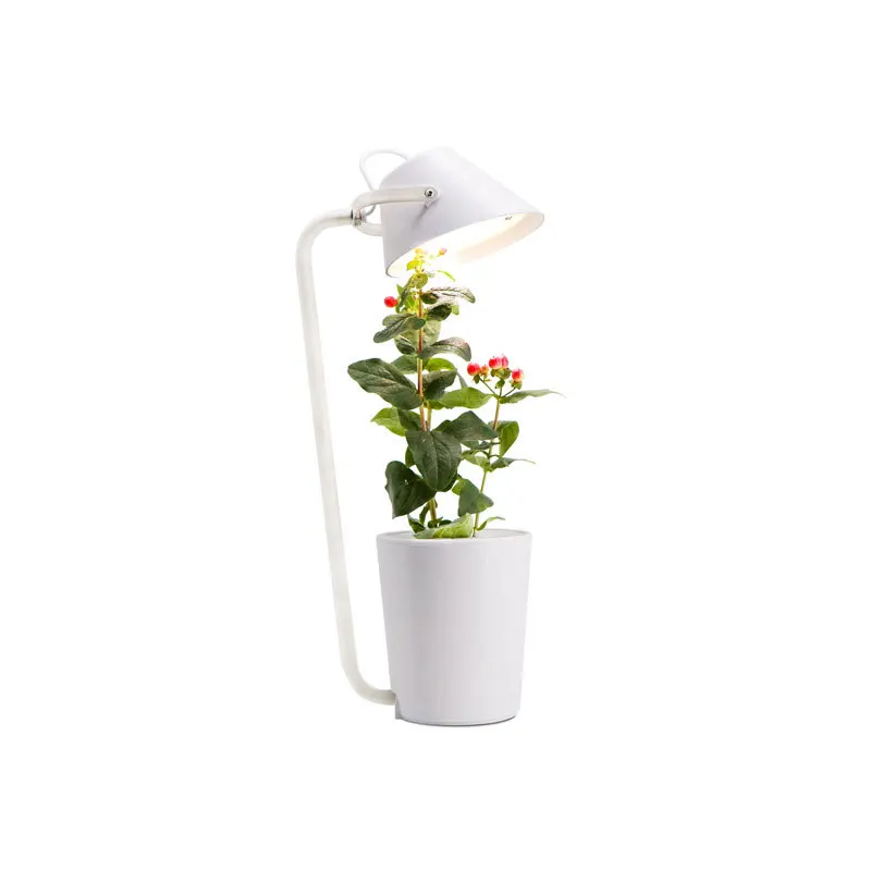 IGS-02 Cross Border Supply Small Plant Grow Light Indoor Office Desktop Bonsai LED Plant Planting Flower Pot