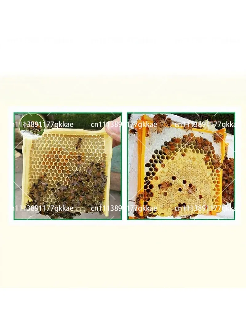 Durable Stackable Beekeeping Plastic Mating Box, Queen Breeding Box, Mini Hive Equipment