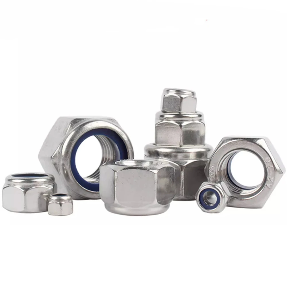 M2 M2.5 M3 M4 M5 M6 M8 M10 M12 M14 M16 M18 M20 M22 304 Stainless Steel Nylon Self-lock Hex Nuts Locknut DIN985