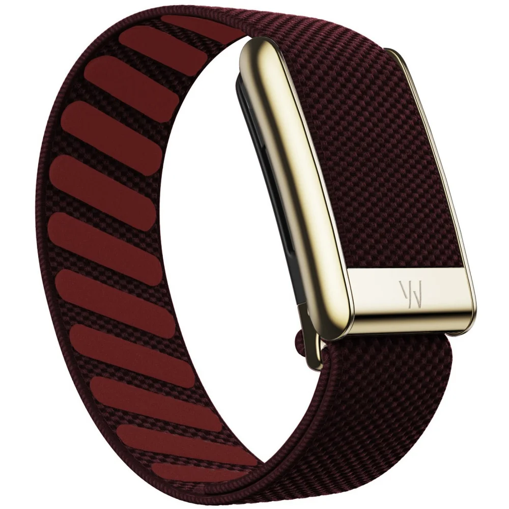 Für Whoop 5.0 Mg Armband mit W-Logo Leder Nylon Gewebtes Elastisches Whoop Sport-Ersatzarmband Gold Silber Metall