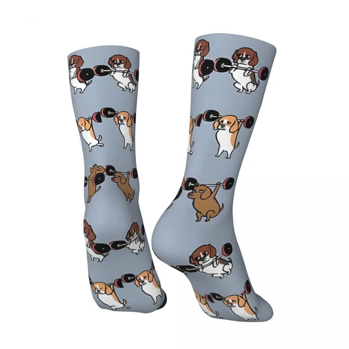 Funny Crazy Lifting Beagles Sock for Men Hip Hop Harajuku Gym Happy Quality Pattern Printed Boys Crew Sock Novelty Gift