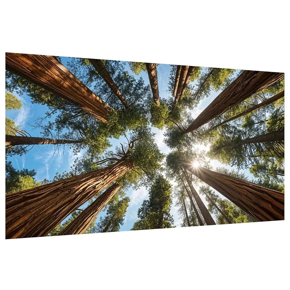 

Large Landscape Diamond Painting Kits DIY 5D Trees Diamond Painting Kits for Adults Full Drill Forest Diamond Art Kits for A