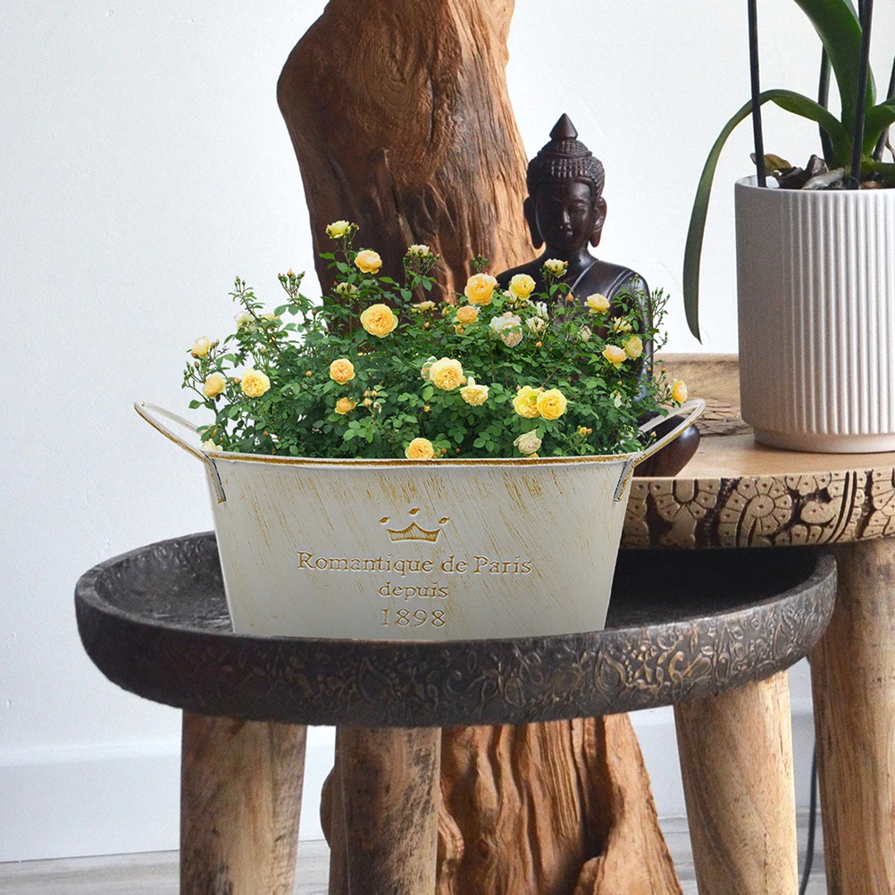 

2pcs Retro Plant Pot Flower Pot Rustic Vintage Tin Planter Smooth Surface Compact Size Retro Bucket