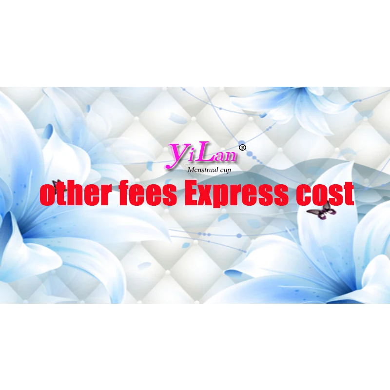 other fees Express cost