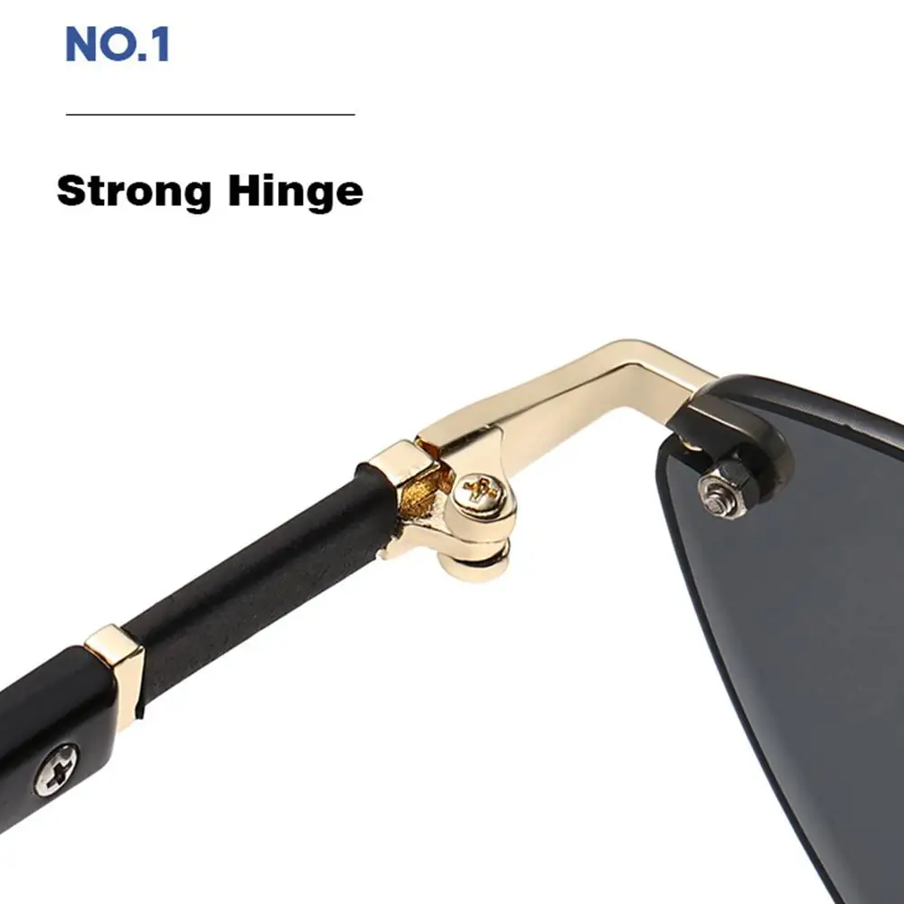 Vintage Triangular Cat Eye Sunglasses Cut-Edge Punk Unique Temples Shades UV400 Protection Hip-Hop Sun Glasses Unisex