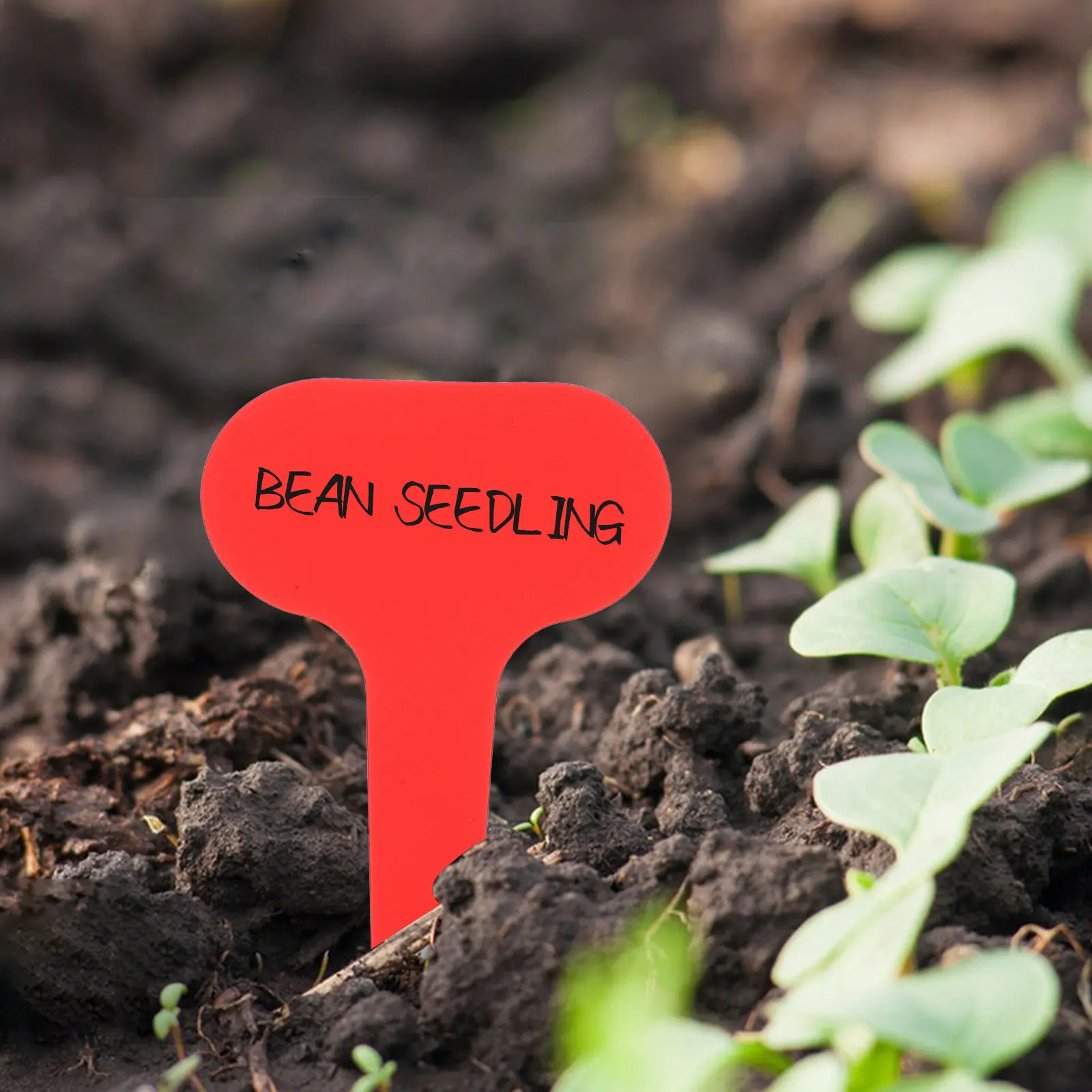 

100 шт. утолщенных пластиковых этикеток для сада, мини-маркеры Т-образной формы для суккулентов, таблички для классификации растений