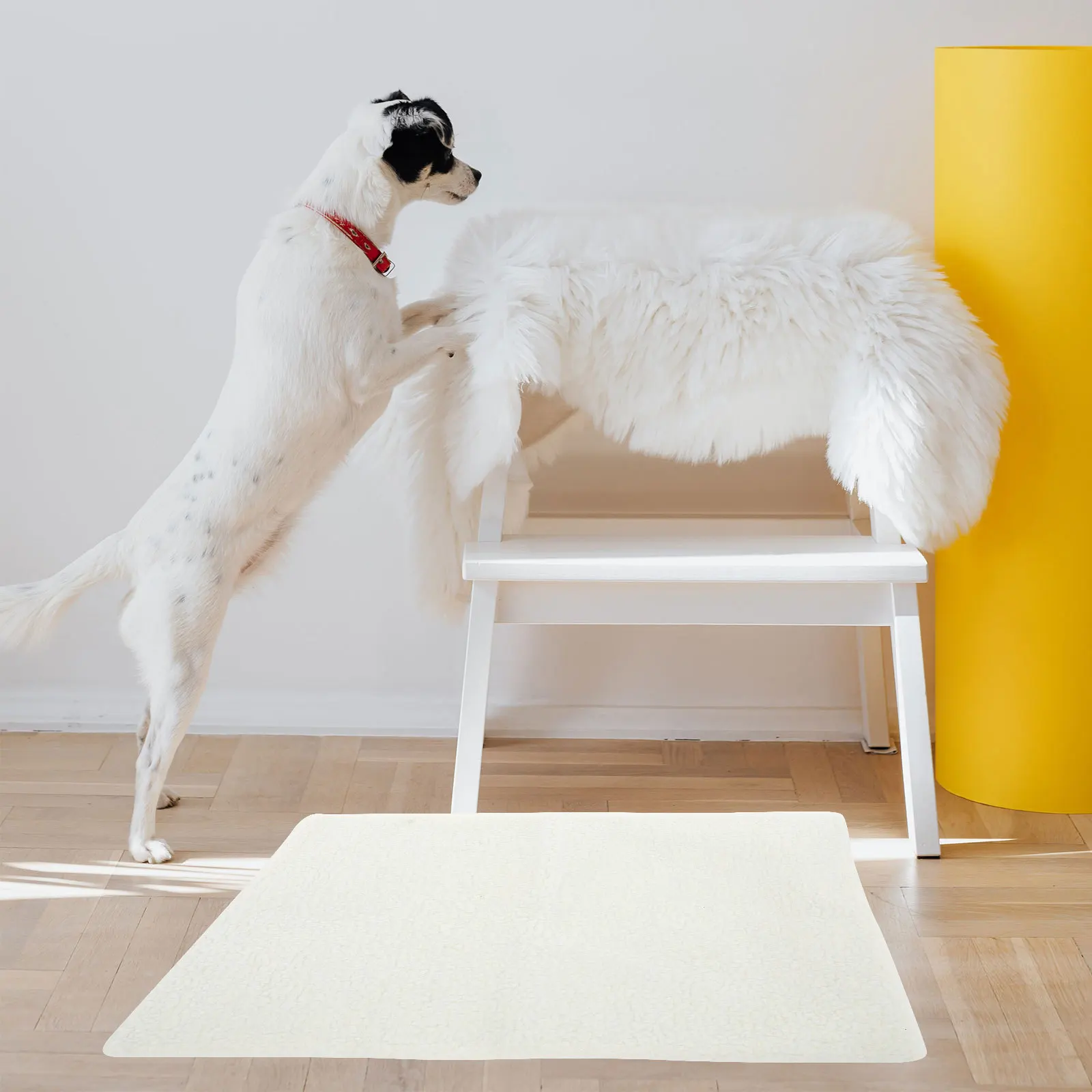 

Self Heating Pet Pad High Grade Fleece Material Indoor Outdoor Pet Warming Bed Lightweight Portable Detachable Easy Wash