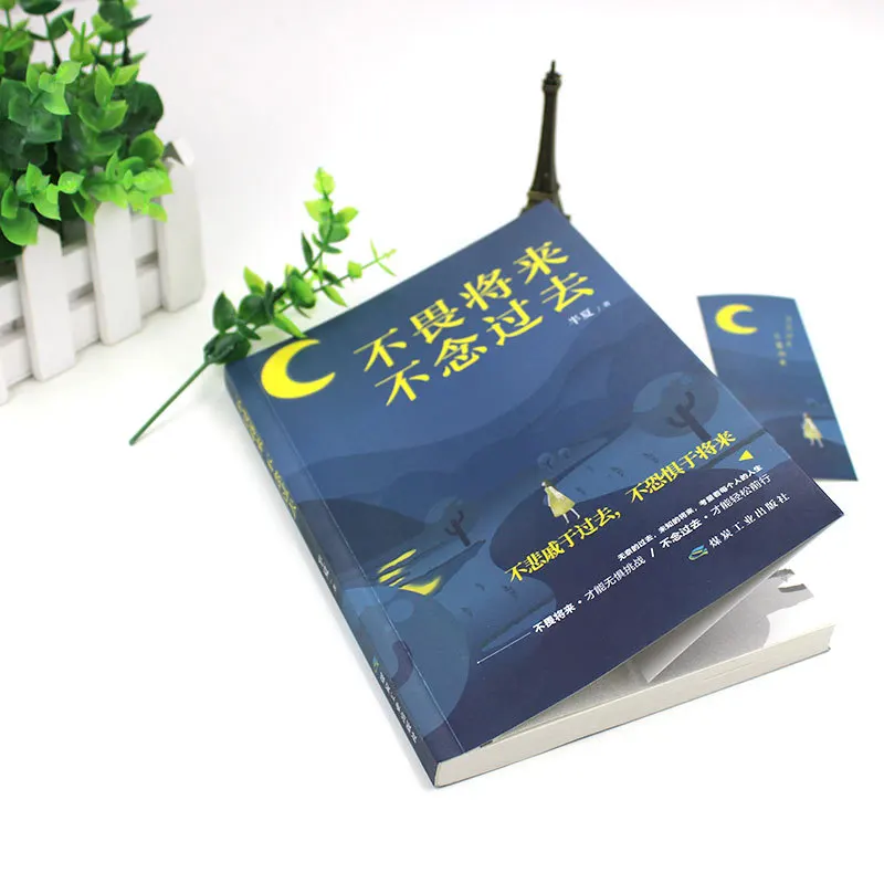 Not Afraid of The Future and Not Thinking about The Past, Youth Literature with Positive Energy and Inspirational Novels