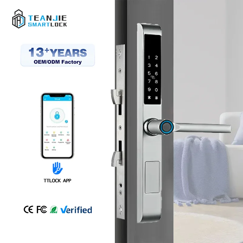 TTlock APP Smartlock Fingerprint Door Lock Waterproof Sliding Aluminum for Outdoor Wood Steel Door Cloud Data Storage Option