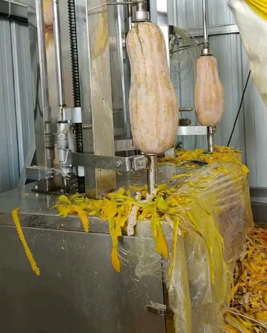 

Fruit and Vegetable Peeling Machine Industrial Automatic Fruits Peeling Machine Winter Melon and Pumpkin Pineapple
