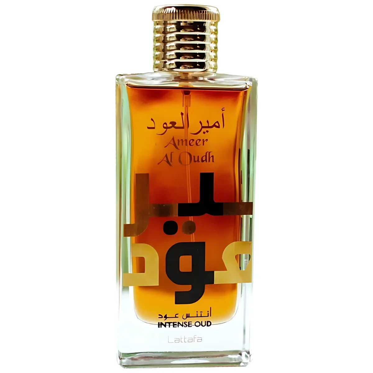

Lattafa Ame Al Oudh Intense Oud Perfume 100ml Unisex Oriental Eau De Parfum