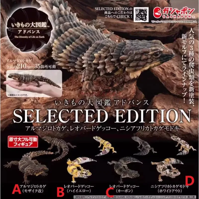 

Подлинная биологическая энциклопедия Bandai, специальное издание, броненосец ящерица, леопард геккон, рисунок, модель