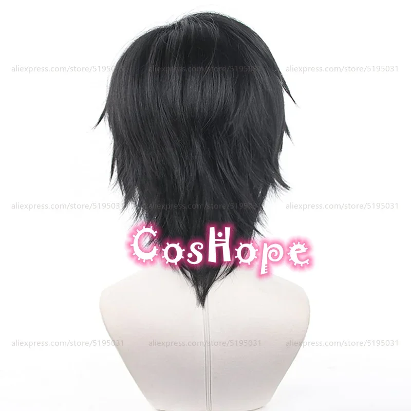 Fushiguro Toji peruka do Cosplay mężczyzn 35cm peruka krótka czarne cosplay anime peruki z lat peruka do cosplay żaroodporne peruki syntetyczne