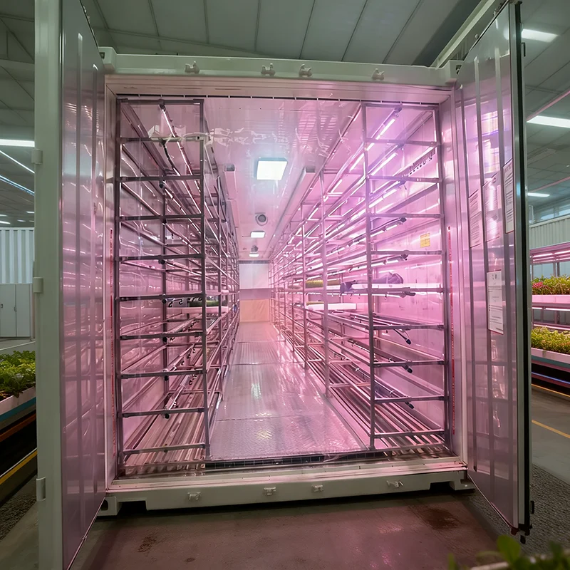 Custom High-Yield Mushroom Cultivation Facility 20ft 40ft Container Greenhouse IoT-Enabled Low-Maintenance Farming System