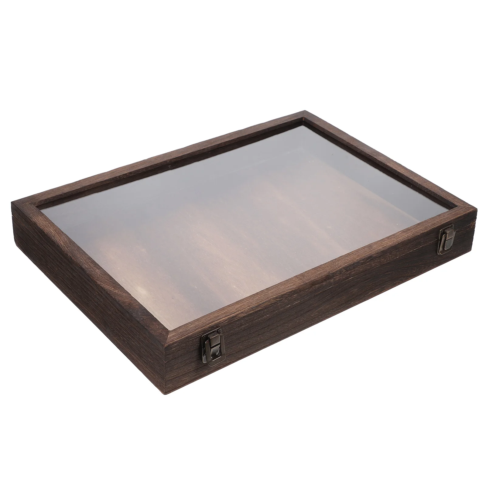 Wooden Display Box for Insects Butterflies Plants Specimen Showcase Storage Case Dried Flower Container Vintage