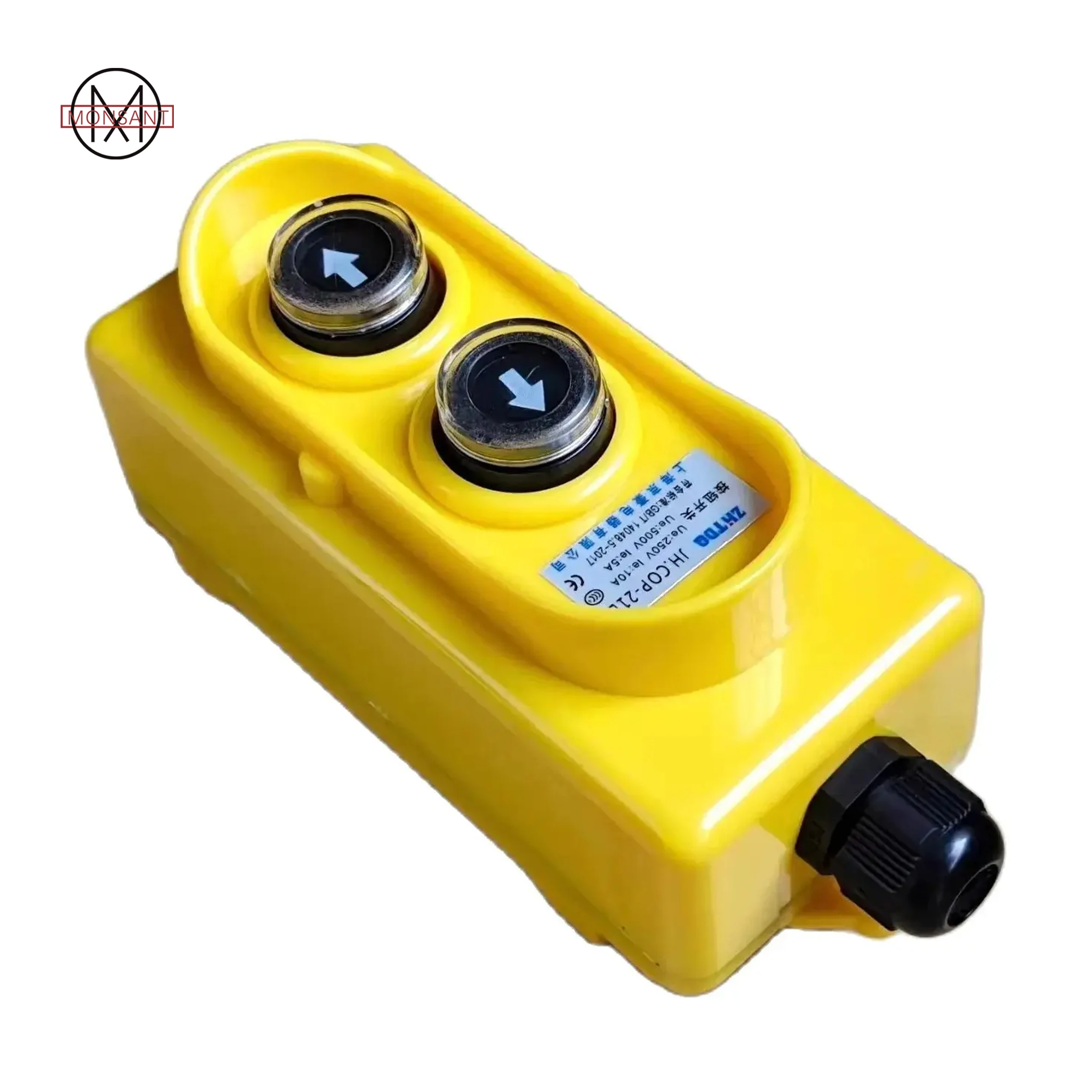 Lift Up and Down Button Switch Directly Control Electric Hoist Lifting Crane Switch COP-21L