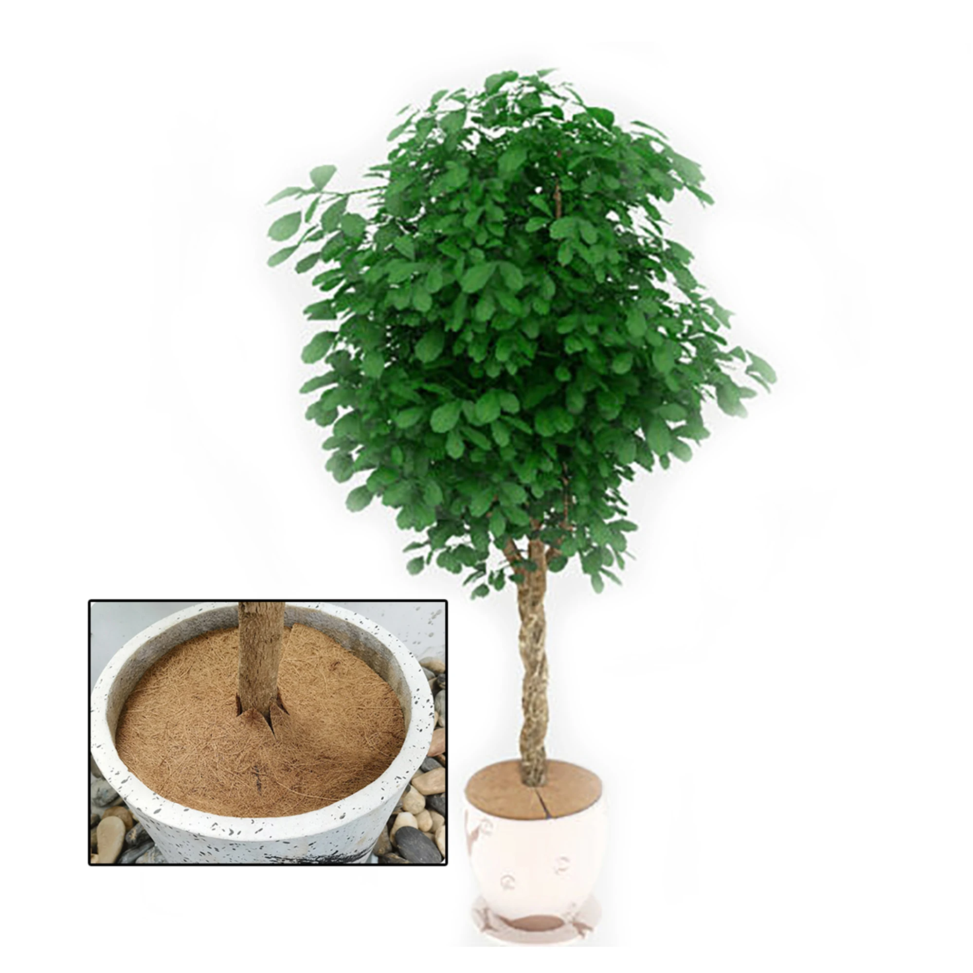 5pcs 25 to 40cm Flower Pot Disc Mat Coconut Fiber Mulch Ring Tree Guard Mat Mulch Mat for Flower Pot Tree Plant Ring Mat