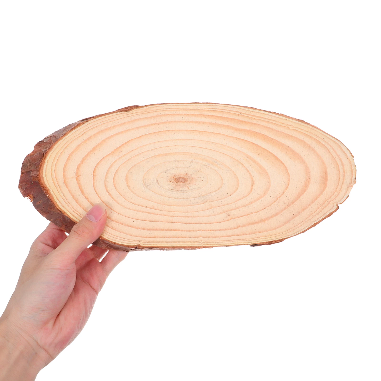 

Blank Wood Slice Unfinished Round Cutout for DIY Wooden Decor Carving Staining Craft Project Sunflower Door Hanger Welcome
