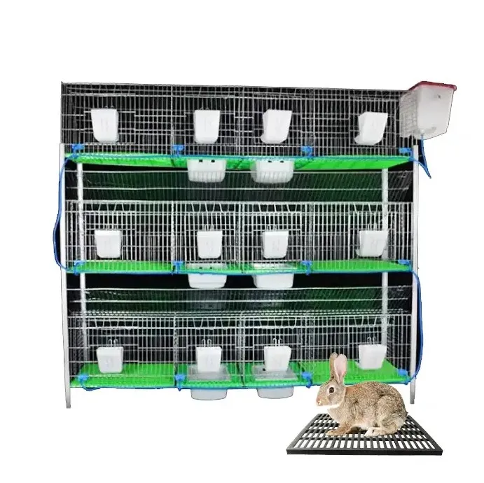 

12 Rooms Rabbit Cage Stainless Steel Rabbit Cages Commercial Breeding Farm Rabbit Cages Commercial Breeding Industrial