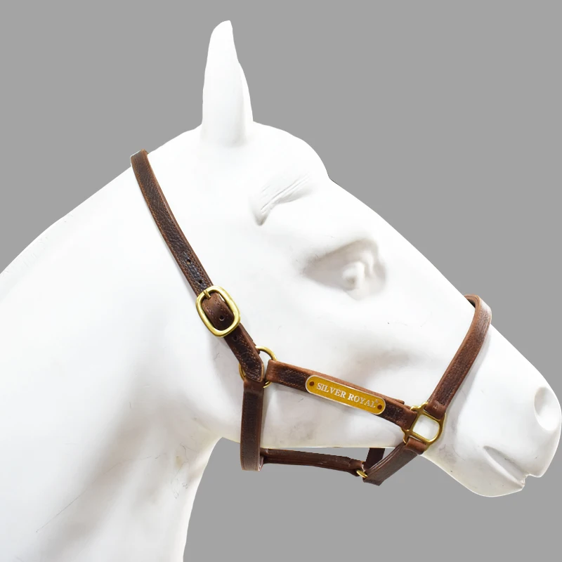 Cưỡi Ngựa Halter Bạc Hoàng Gia Dây Thiết Bị Horse Vòi Nước Da Điều Chỉnh Khóa Dây Da Bền