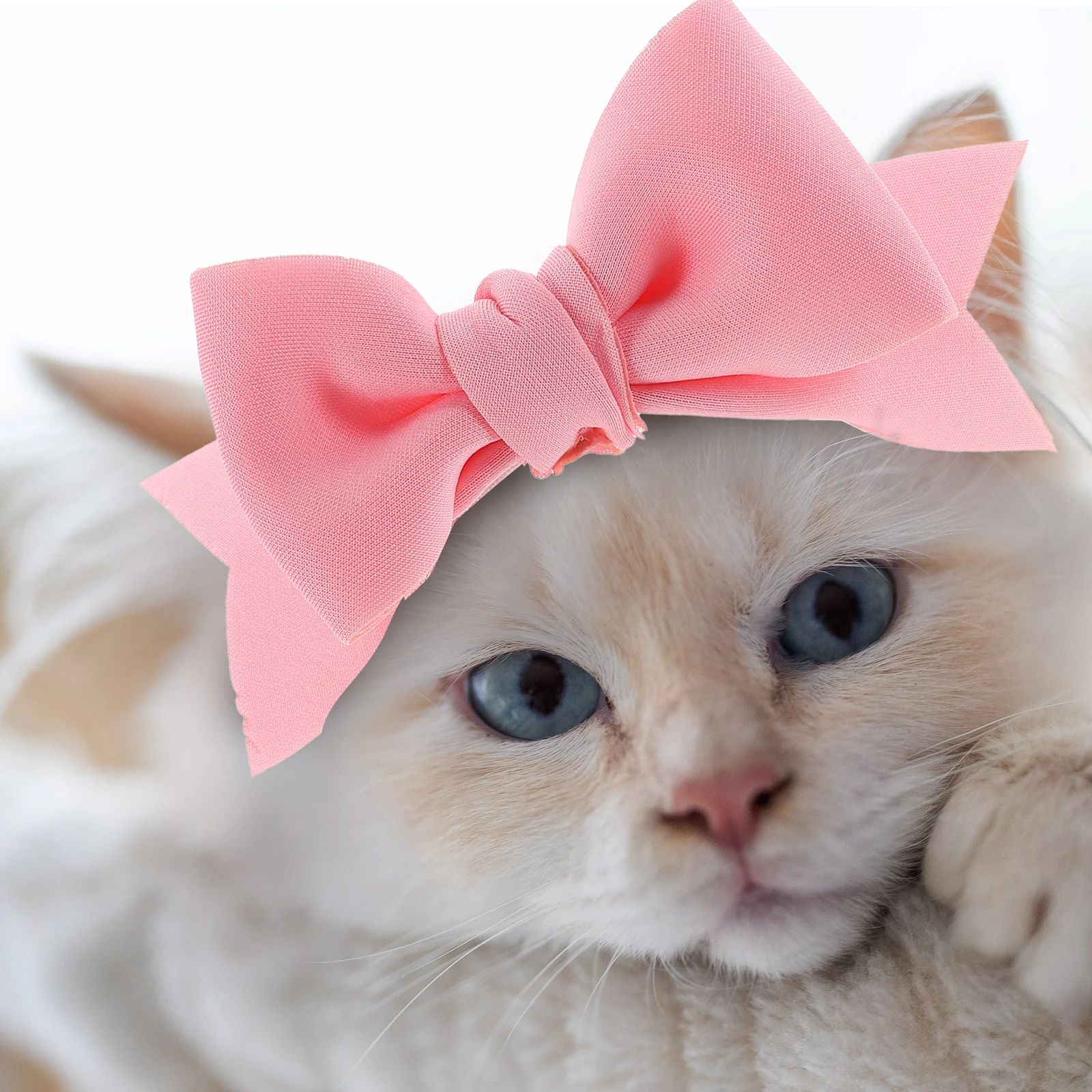 

Pet Hair Bows Small Dog Bows Bowtie Headbands For Puppy Grooming Festival Halloween Party Decor Dog Headdress Accessories