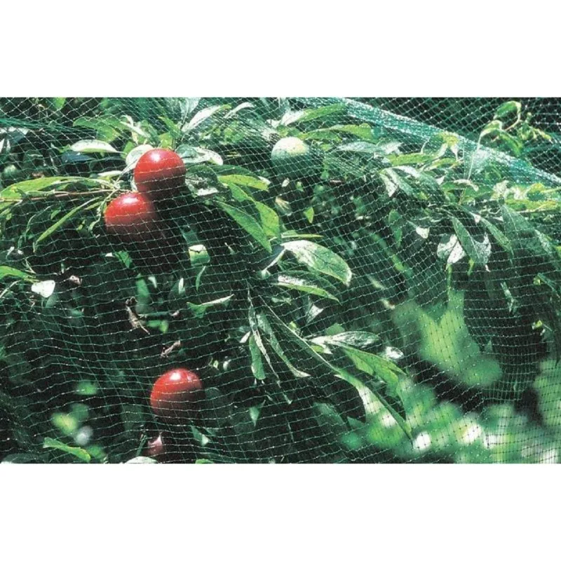 AB11-Protective Garden Netting 15X15mm 2X3m Green Bird Net For Trees,Shrubs Berries, Seedlings And Other Plants