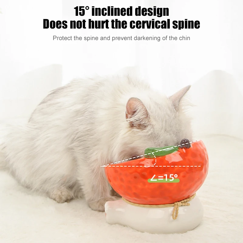 Cat Fruit Ceramic Bowl Elevated Pet Food Water Bowls Raised Small Dogs Tilted Drinking Eating Feeders Puppy Cats Accessories